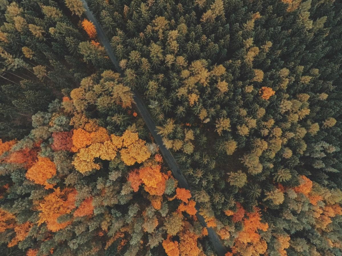 Socha Oscara — corten, Sabinov (2016)